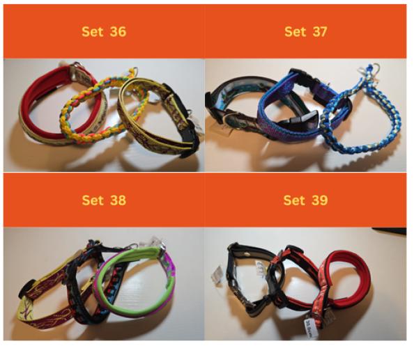 Halsband Bundle 3er Set Grösse 30 cm