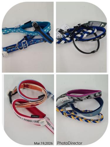 Halsband Bundle 3er Set Grösse 35 cm