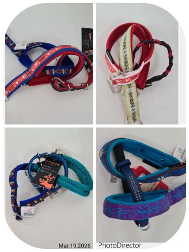 Halsband Bundle 3er Set Grösse 35 cm