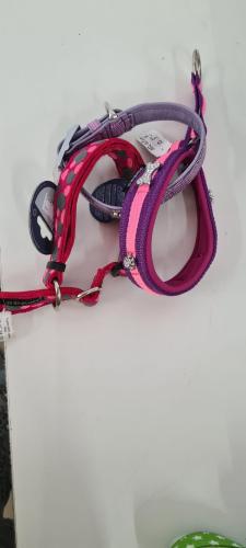 Halsband Bundle 3er Set Grösse 35 cm