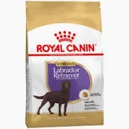 Royal Canin Labrador Retriever Adult Sterilised 12 kg