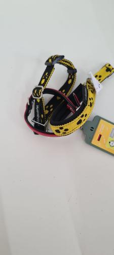 Halsband Bundle 3er Set Grösse 22.5 cm