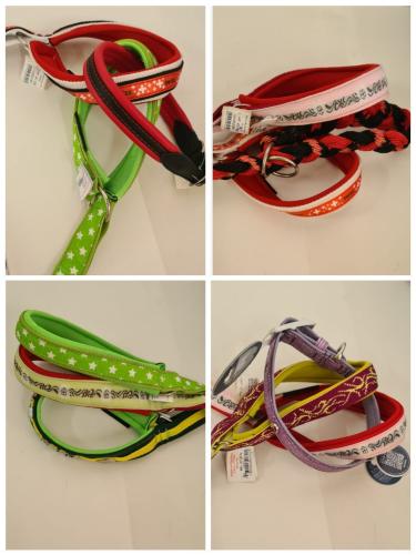 Halsband Bundle 3er Set Grösse 37.5 cm