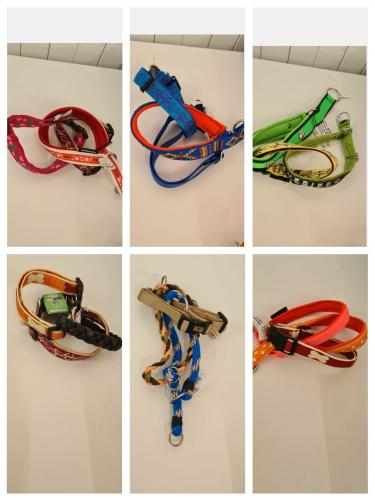 Halsband Bundle 3er Set Grösse 40 cm