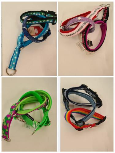 Halsband Bundle 3er Set Grösse 40 cm