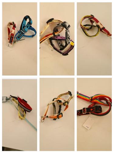 Halsband Bundle 3er Set Grösse 25 cm