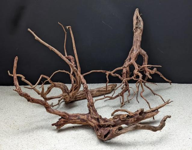 dark-snake-wood-xl-aquariendekoration-50-55-cm-163605