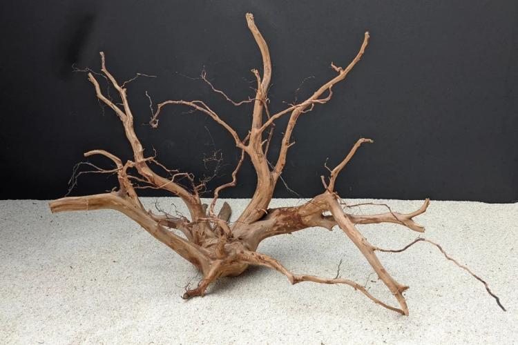white-snake-wood-xl-aquariendekoration-wurzel-163606