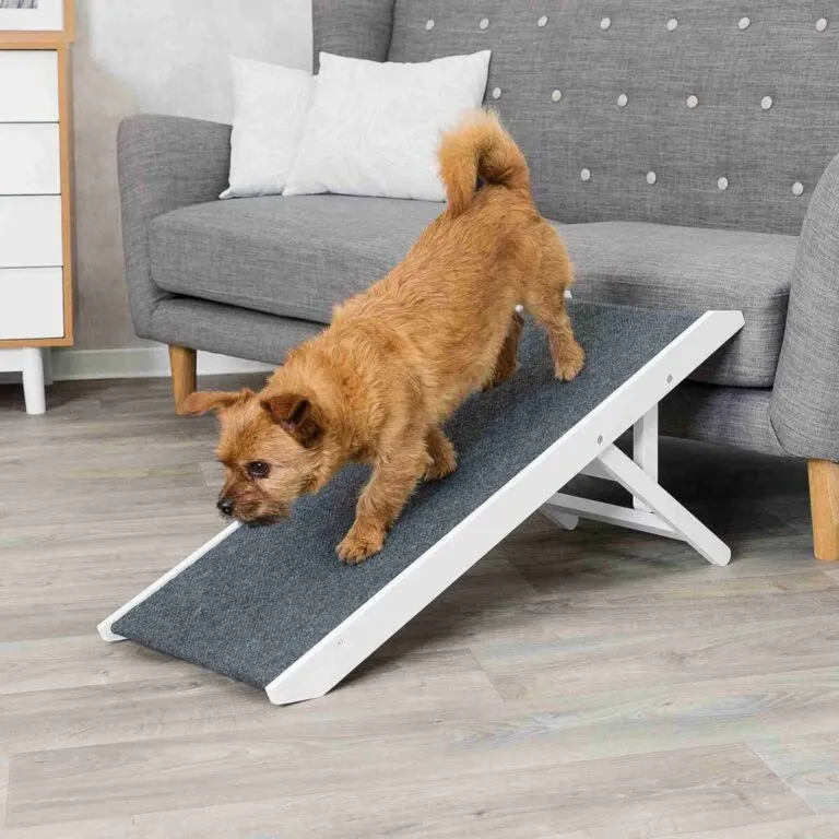 TRIXIE Rampe höhenverstellbar 36 × 90 cm für Hunde