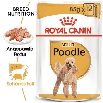 Royal Canin Poodle Adult Mousse Nassfutter 85g