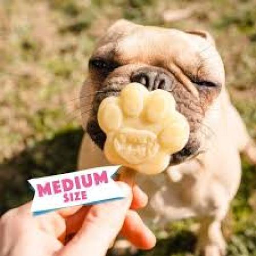 Smoofl Eiscremeform M-Form Silikon für Hundeeis