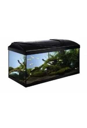 Diversa Aquarium-Set Start Up 60 Schwarz LED 13 W 54 l