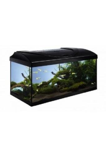 diversa-aquarium-set-start-up-60-schwarz-led-13-w-54-l-163911