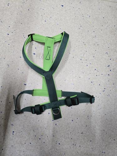 aladin-fuhrgeschirr-grun-l-fur-hunde-mit-neoprenpolsterung-163927