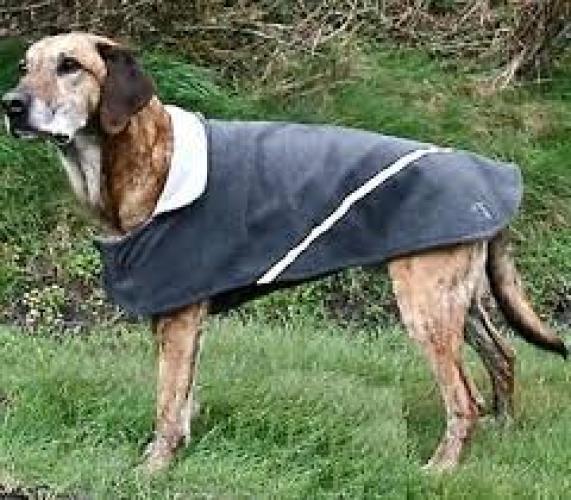 tcoat-metz-hundemantel-anthrazit-reflektierend-xl-65cm-abverkauf-kein-umtausch-163973