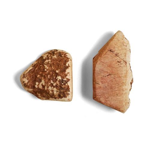 kyli-kauwurzel-m-163985