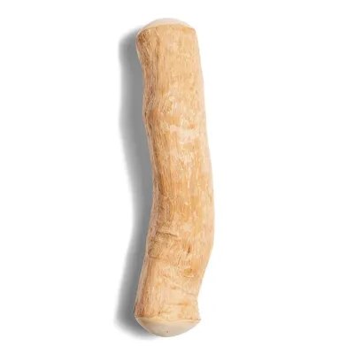 kyli chewing wood from the coffee tree "L"