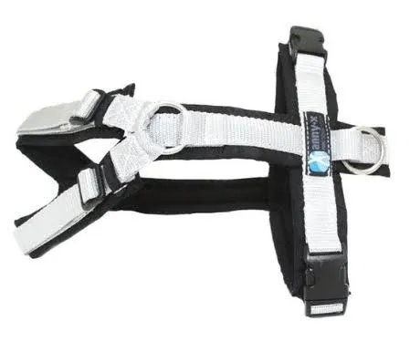 Anny-X Fun Brustgeschirr XL schwarz/silber Limited Edition