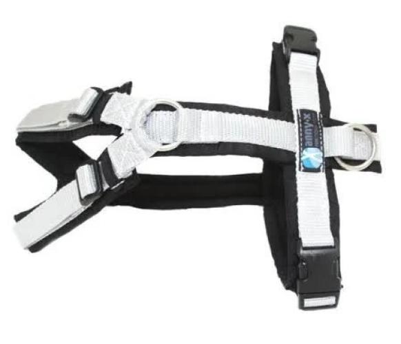 anny-x-fun-brustgeschirr-xl-schwarzsilber-limited-edition-164020