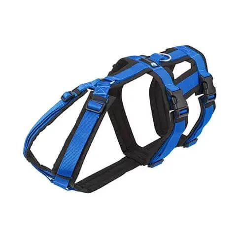 Anny-X Brustgeschirr Safety Fun S schwarz/blau