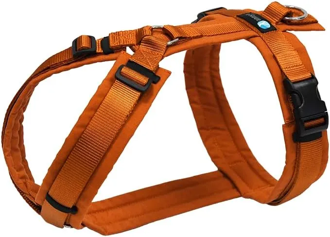 Anny-X Fun Brustgeschirr  M Ahorn Limited Edition