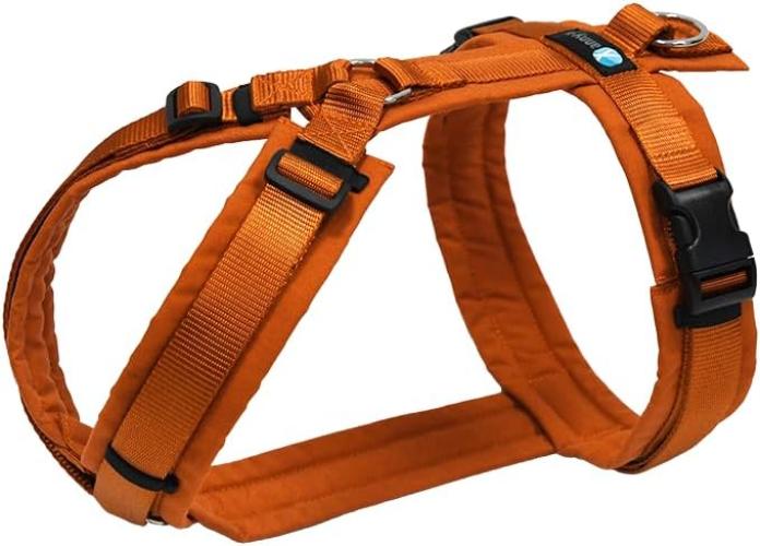 Anny-X Fun chest harness L black/black