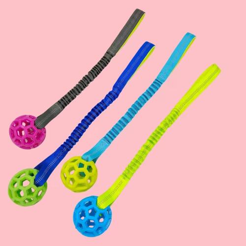 hundespielzeug-ball-mit-wurfband-elastisch-farbmix-164069