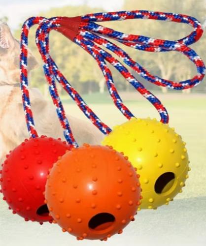 hundespielzeug-ball-am-seil-noppenball-farbmix-164071
