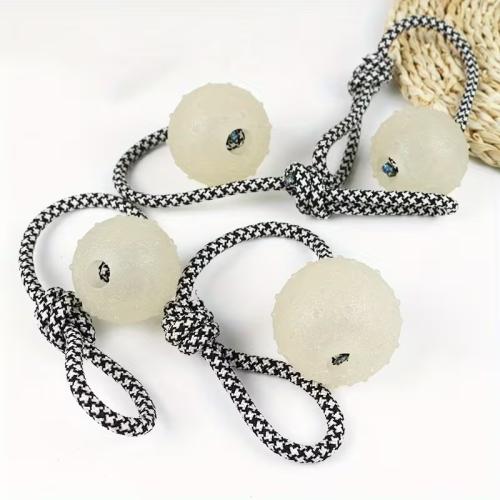 hundespielzeug-gummiball-am-seil-robust-164072