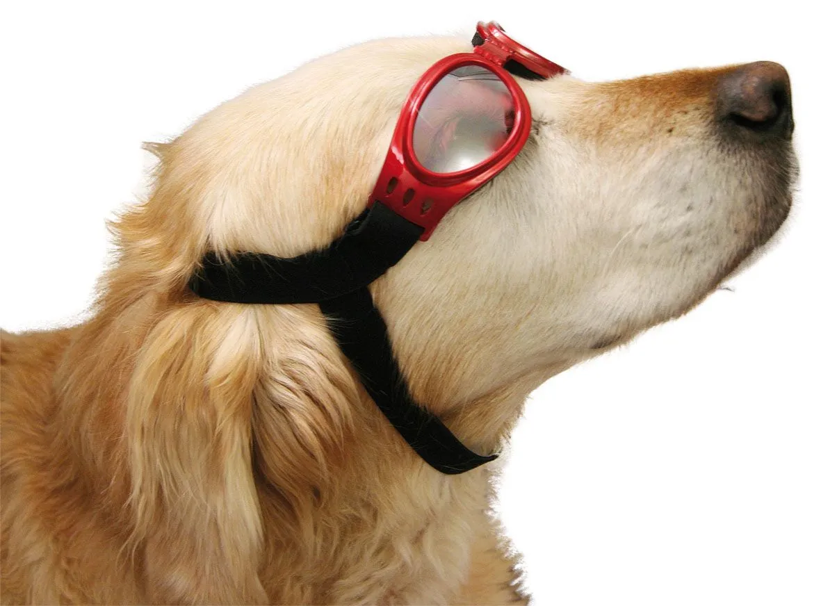 Cabrio Hundebrille rot klar verstellbar 16 cm