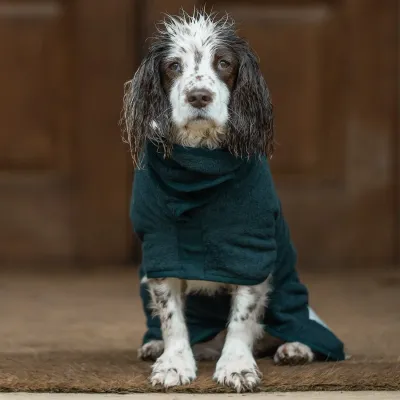 Ruff and Tumble Classic Collection Klassischer Hundetrockenmantel – Forest Green XXXS