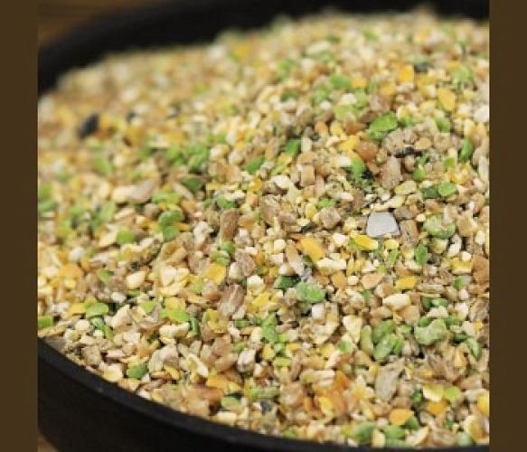 federgold-kornermix-fein-huhnerfutter-10kg-161100