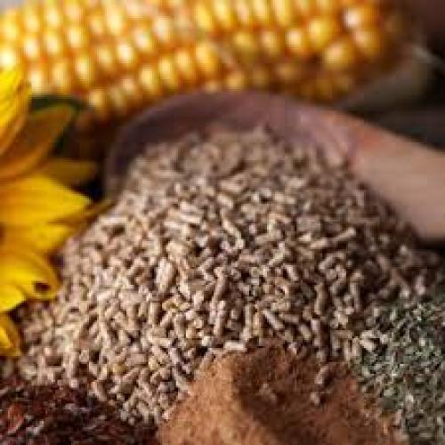 federgold-kornermix-fein-25-kg-scharrfutter-geflugel-161107