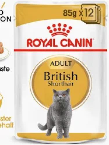 british-shorthair-adult-in-sauce-12-x-0085-kg-102-kg-nassfutter-7743
