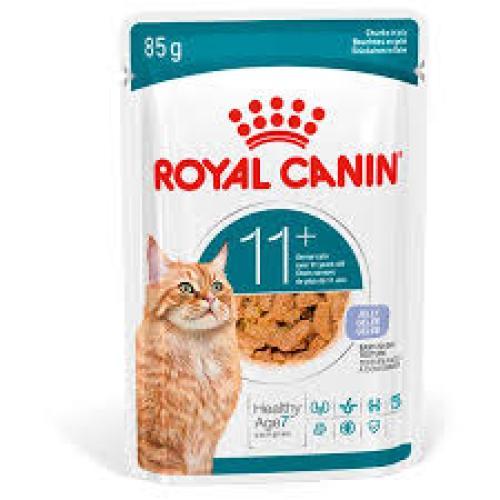 Royal Canin Ageing 11+ in Gelee Katzen Nassfutter 85 g