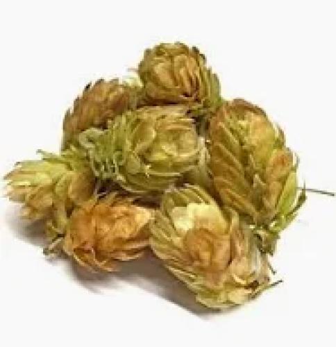 hopfenzapfen-50g-fur-nager-pferd-reptilien-164273