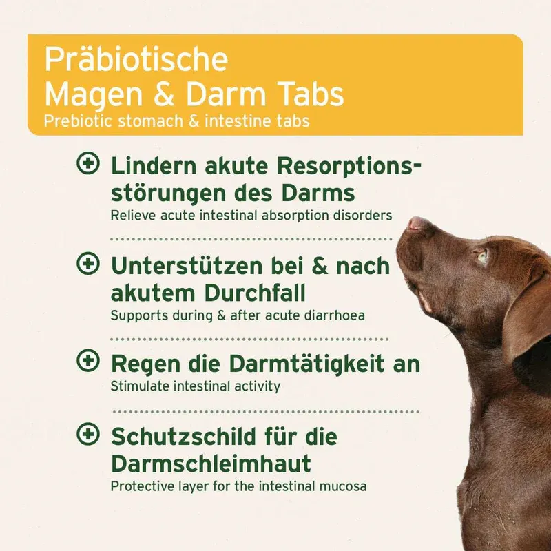 AniForte® plus Magen & Darm, 90 Stk.