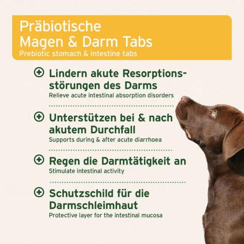 AniForte® plus Magen & Darm, 90 Stk.