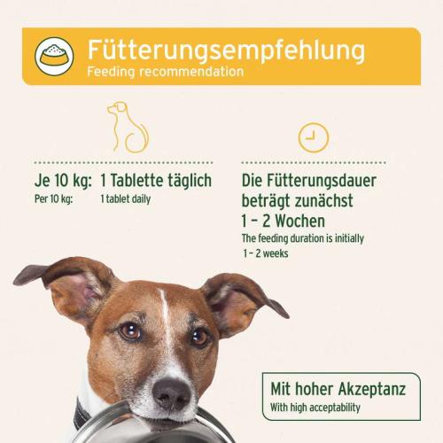 AniForte® plus Magen & Darm, 90 Stk.