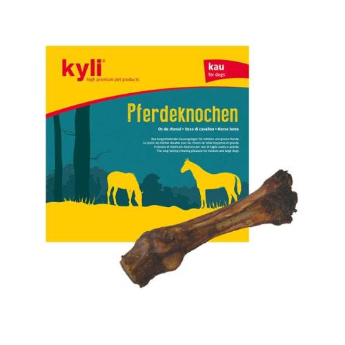kyli Pferdeknochen