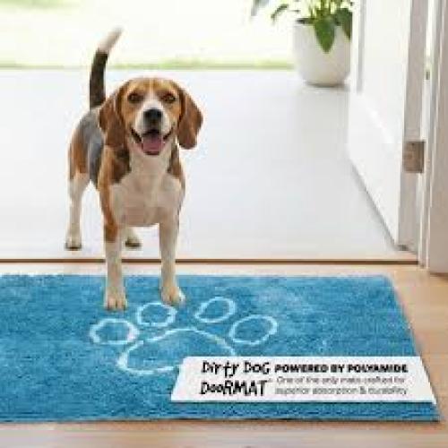 dirty-door-mat-aqua-80x50cm-12031
