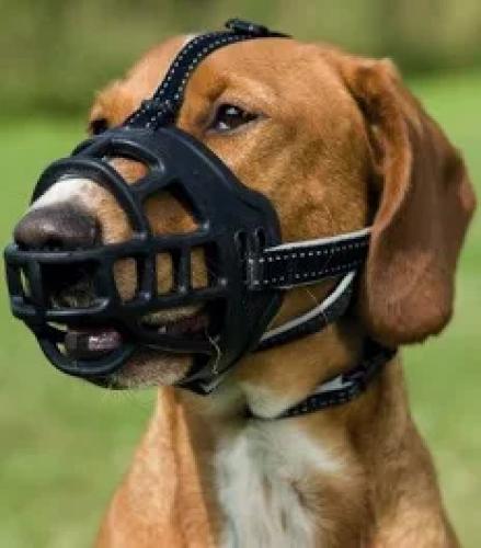 trixie-muzzle-flex-maulkorb-silikon-s-schwarz-fur-hunde-60957