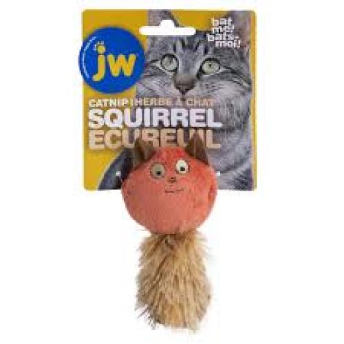 squirrel-ecureuil-catnip-125754