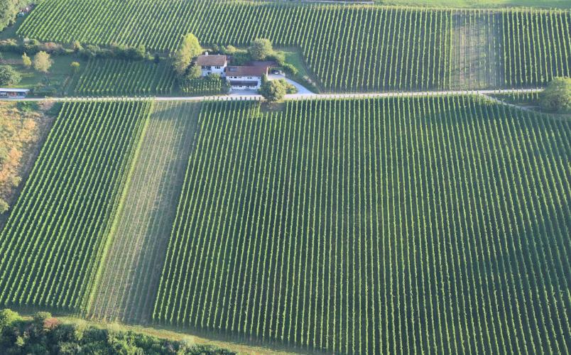 SÜSSWEIN GEWÜRZTRAMINER 37.5cl 2022 WEINGUT WOLFER WEINFELDEN TG