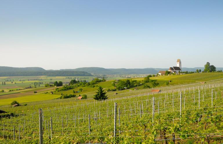 PORTWY 75cl. 19% vol.  2018 WEINGUT NEUKOMM HALLAU SH