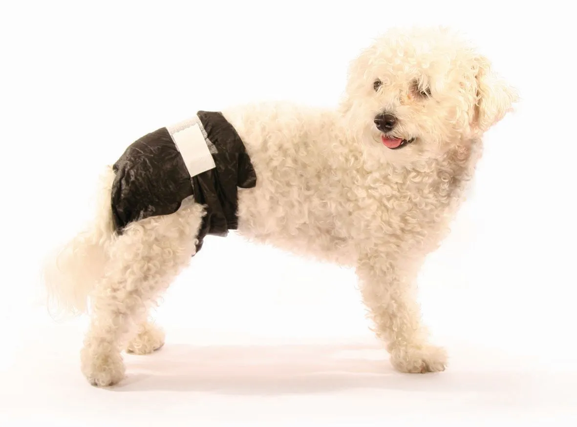 Doggy Pamys Einwegwindeln XS Schwarz 16 Stück – Hundewindeln für 2–4 kg Hunde