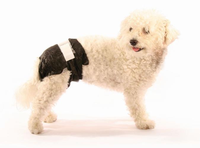 Doggy Pamys Einwegwindeln XS Schwarz 16 Stück – Hundewindeln für 2–4 kg Hunde
