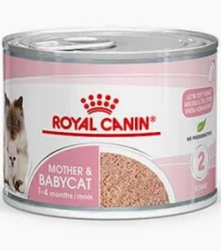 royal-canin-mother-babycat-mousse-195-g-nassfutter-fur-kitten-mutterkatzen-7826