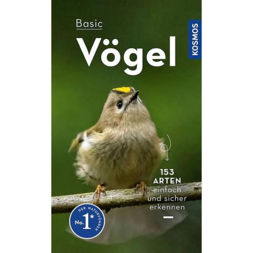 Basic Vögel