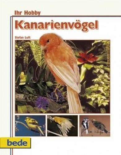 Bede Ihr Hobby Kanarienvögel  +,